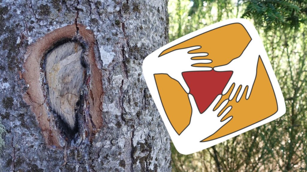 Se former et échanger à Marquixanes.
Audiodescription de la photo : La photographie est prise dans une forêt, par temps ensoleillé. Sur la moitié gauche, un bout de tronc d'arbre domine. Son écorce épaisse est creusée d'une forme ovoïde qui rappelle la silhouette d'une oreille. A droite, le logo de la Fédération de l'audiovisuel participatif a été rajouté. Il se compose de trois mains tendues les unes vers les autres, aux doigts écartés le bout des pouces et des index se frôlent, formant un triangle peint en rouge.