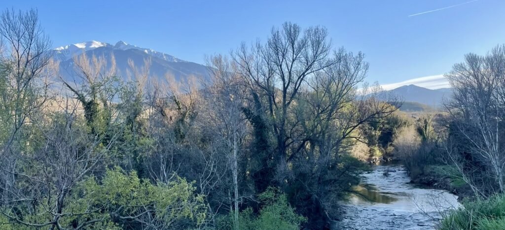 Vue des alentours de Marquixanes, dans les Pyrénées catalanes.
A droite, une rivière serpente au coeur d'une forêt touffue de feuillus, plongée dans la pénombre. Son eau est peu profonde et laisse deviner un sol rocheux. Derrière cette forêt, de l'autre côté de la vallée, une chaîne de montagne est éclairée par le soleil. Le sommet de la plus haute montagne, le Canigó est enneigé.