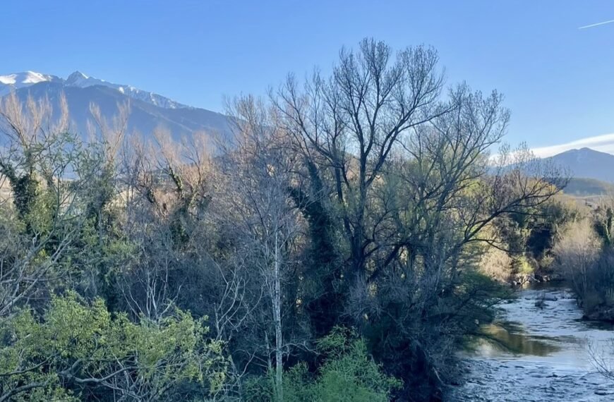 Vue des alentours de Marquixanes, dans les Pyrénées catalanes. A droite, une rivière serpente au coeur d'une forêt touffue de feuillus, plongée dans la pénombre. Son eau est peu profonde et laisse deviner un sol rocheux. Derrière cette forêt, de l'autre côté de la vallée, une chaîne de montagne est éclairée par le soleil. Le sommet de la plus haute montagne est enneigé.