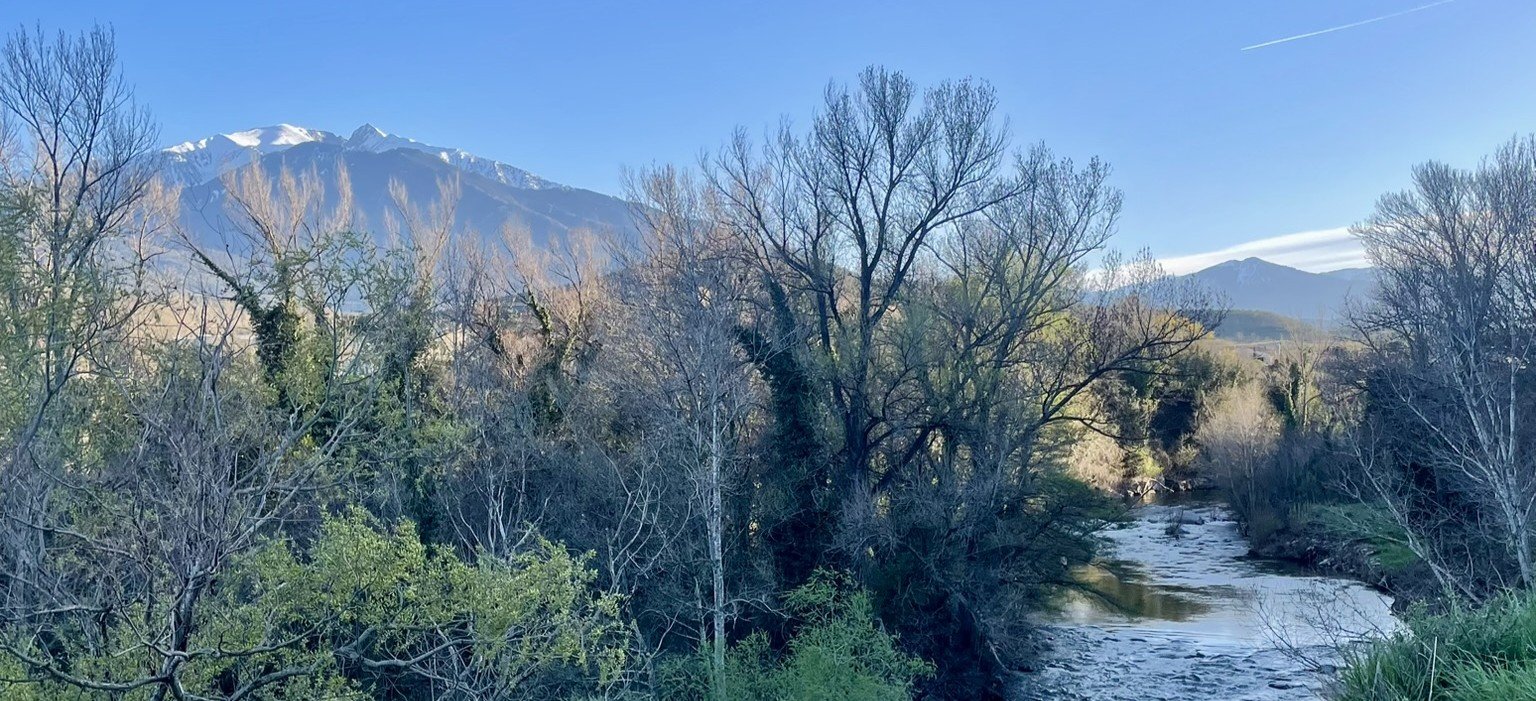 Vue des alentours de Marquixanes, dans les Pyrénées catalanes. A droite, une rivière serpente au coeur d'une forêt touffue de feuillus, plongée dans la pénombre. Son eau est peu profonde et laisse deviner un sol rocheux. Derrière cette forêt, de l'autre côté de la vallée, une chaîne de montagne est éclairée par le soleil. Le sommet de la plus haute montagne est enneigé.